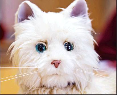 robotic cat
