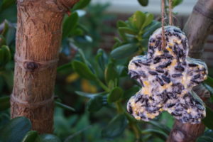 Biodegradable bird feeder.