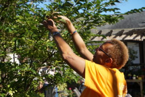 vanguard volunteer gardening