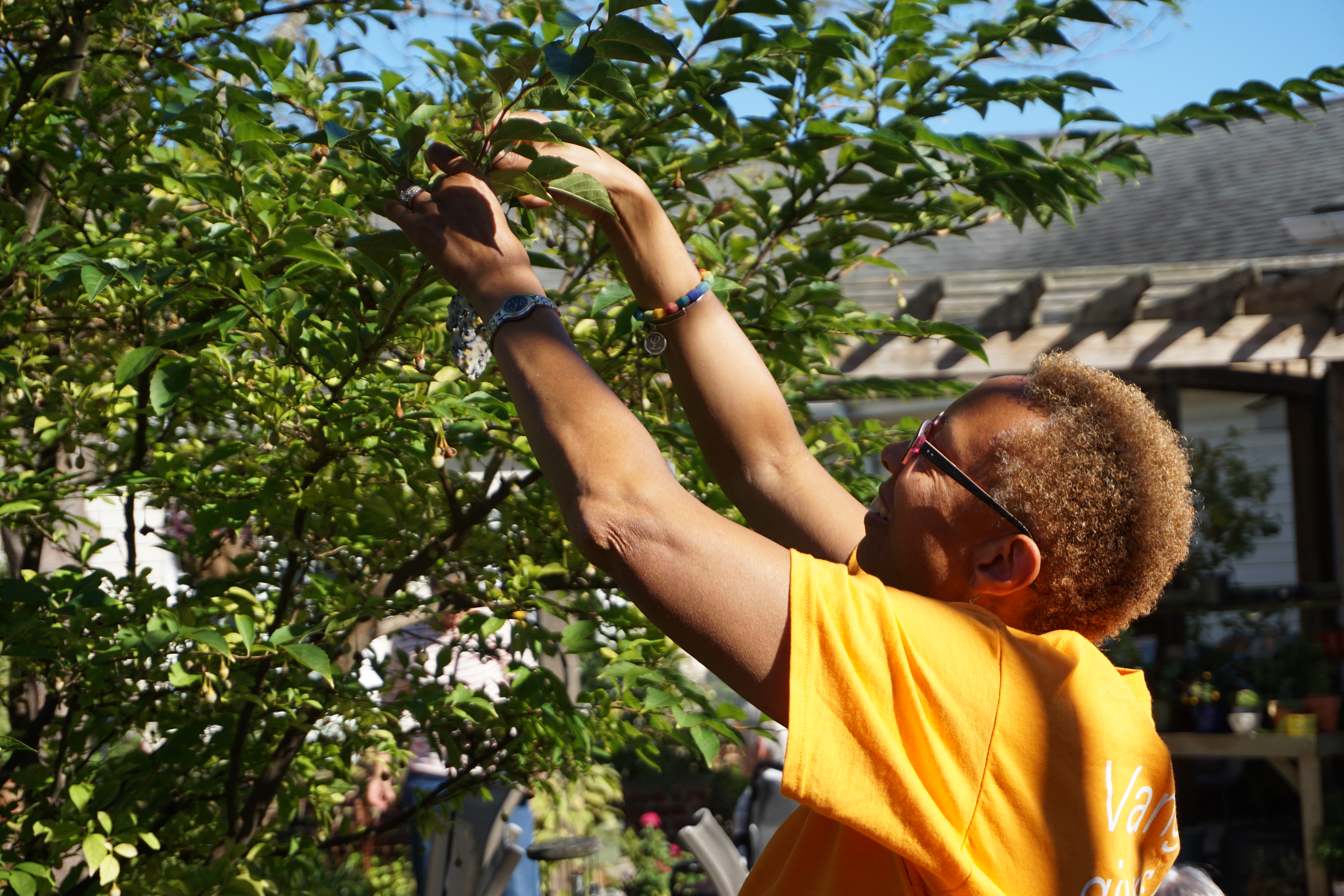vanguard volunteer gardening