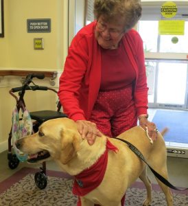 Senior petting dog.