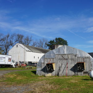Pete's Produce Farm