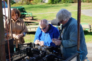 Pete and others clean garlic