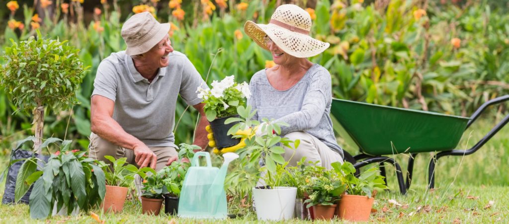 Two people gardening