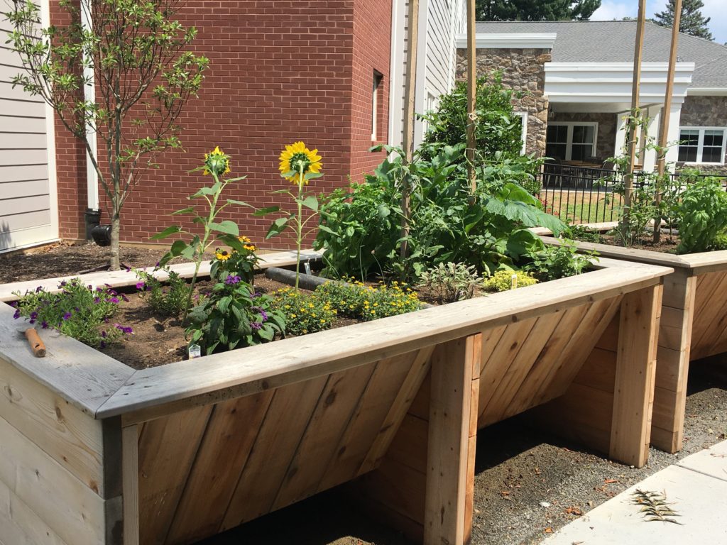 Raised garden bed at Memory Care Community in West Chester, PA