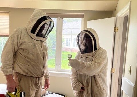 Bee keepers in gear