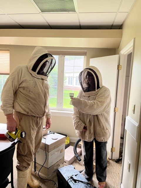 Bee keepers in gear