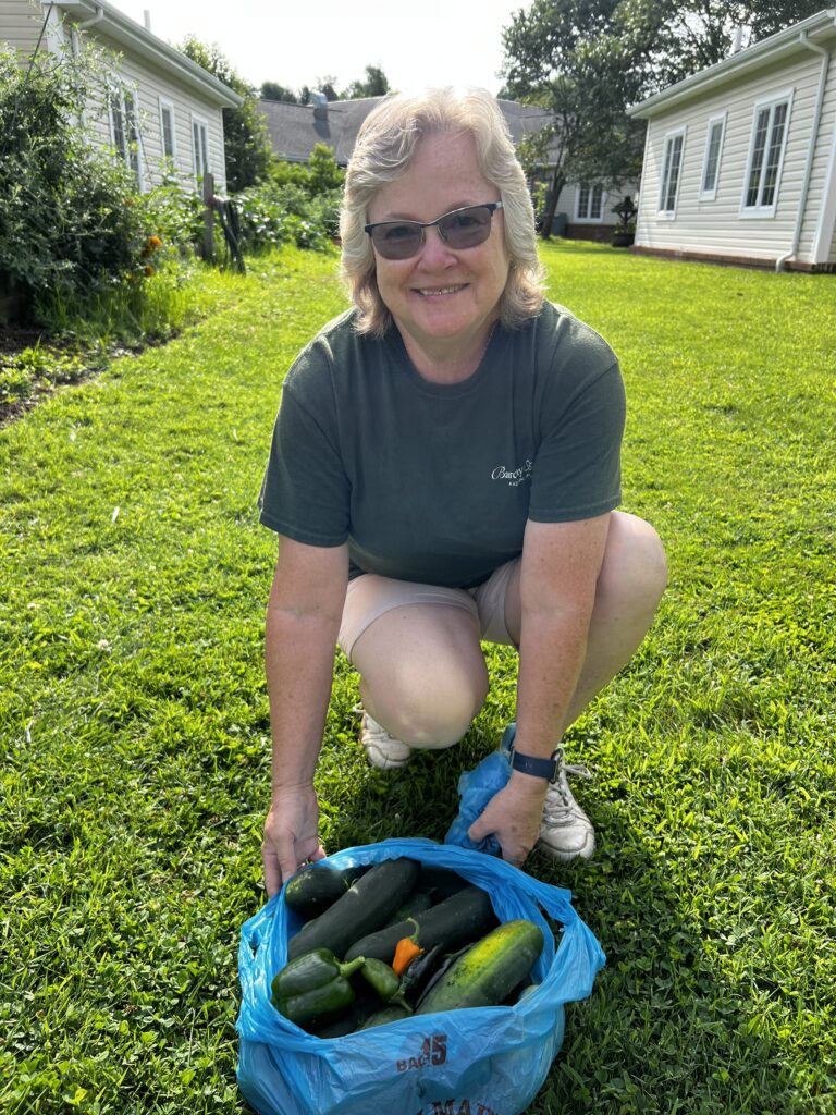 volunteer in field of grass holding cuccumbers